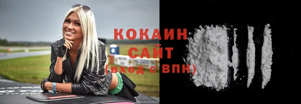 индика Михайловск