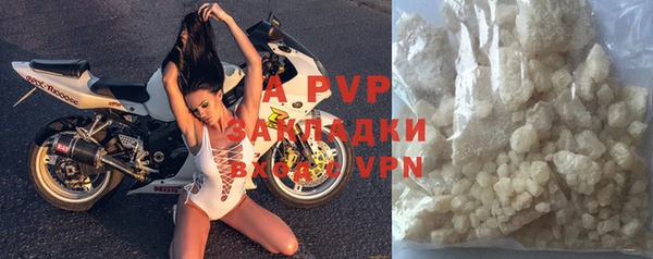 прущие грибы Михайловка
