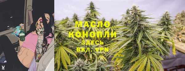 сатива Магас