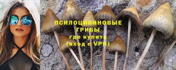 скорость Медногорск