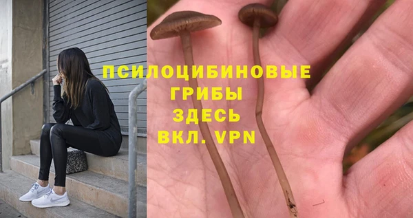 наркотики Медвежьегорск