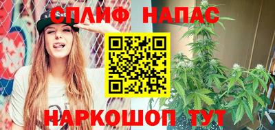 гидропоника Гагарин