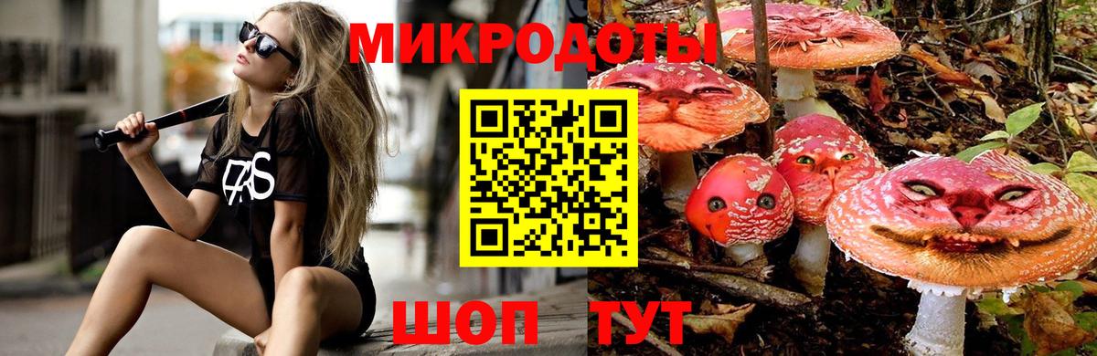 Псилоцибиновые грибы Psilocybine cubensis  Вход с VPN  хочу наркоту  Кирово-Чепецк  Галлюциногенные грибы Psilocybe 